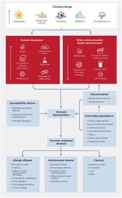 Immune-mediated disease caused by climate change-associated environmental hazards: mitigation and adaptation